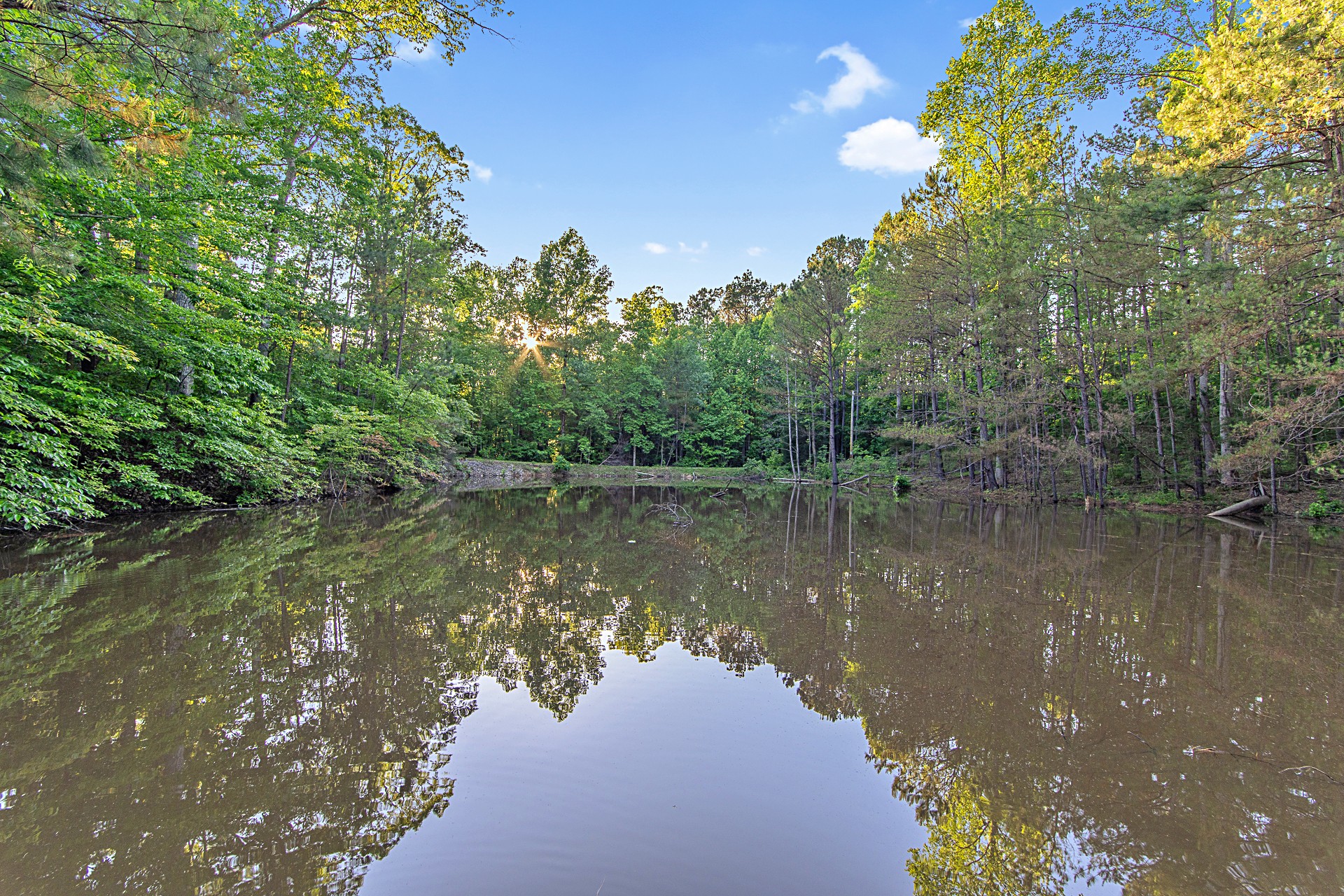 151 Spence Store Loop Holladay, TN 38341 - Photo 44 of 50