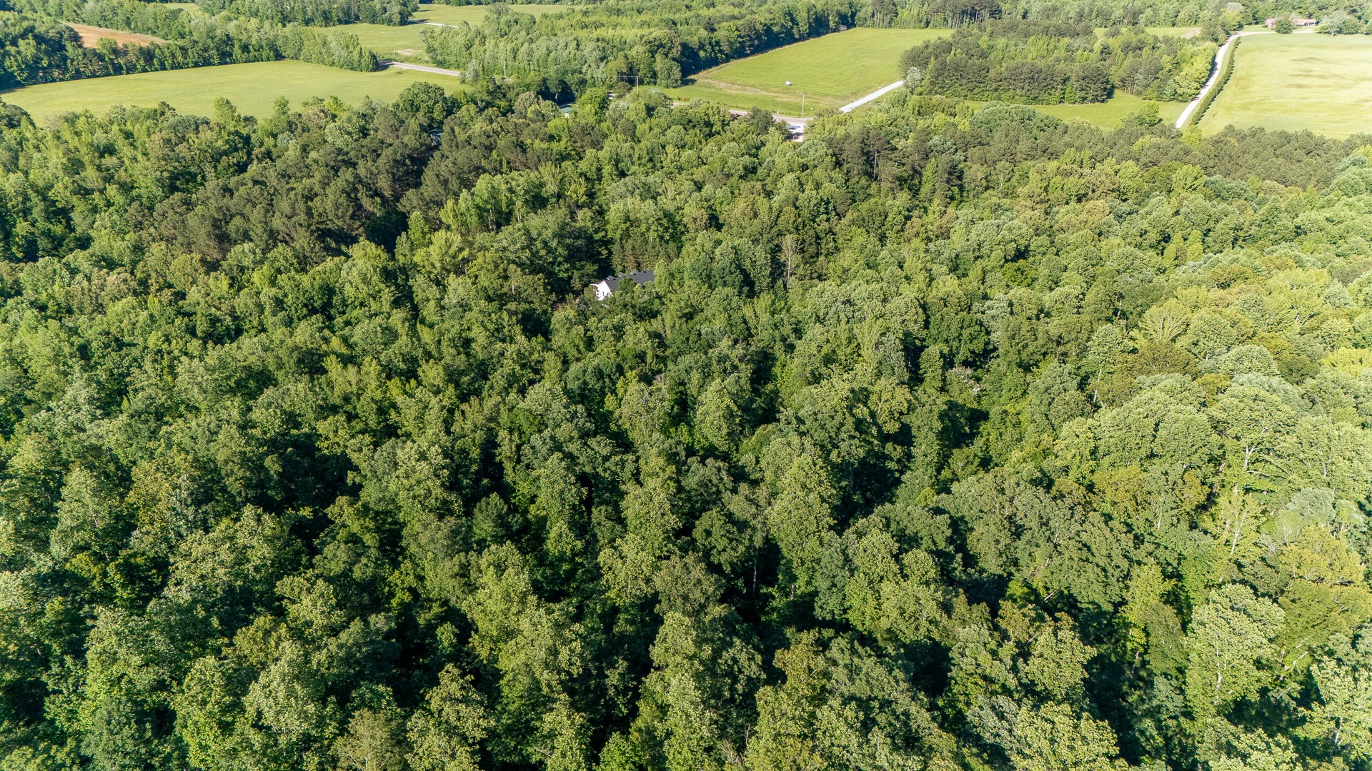 151 Spence Store Loop Holladay, TN 38341 - Photo 49 of 50