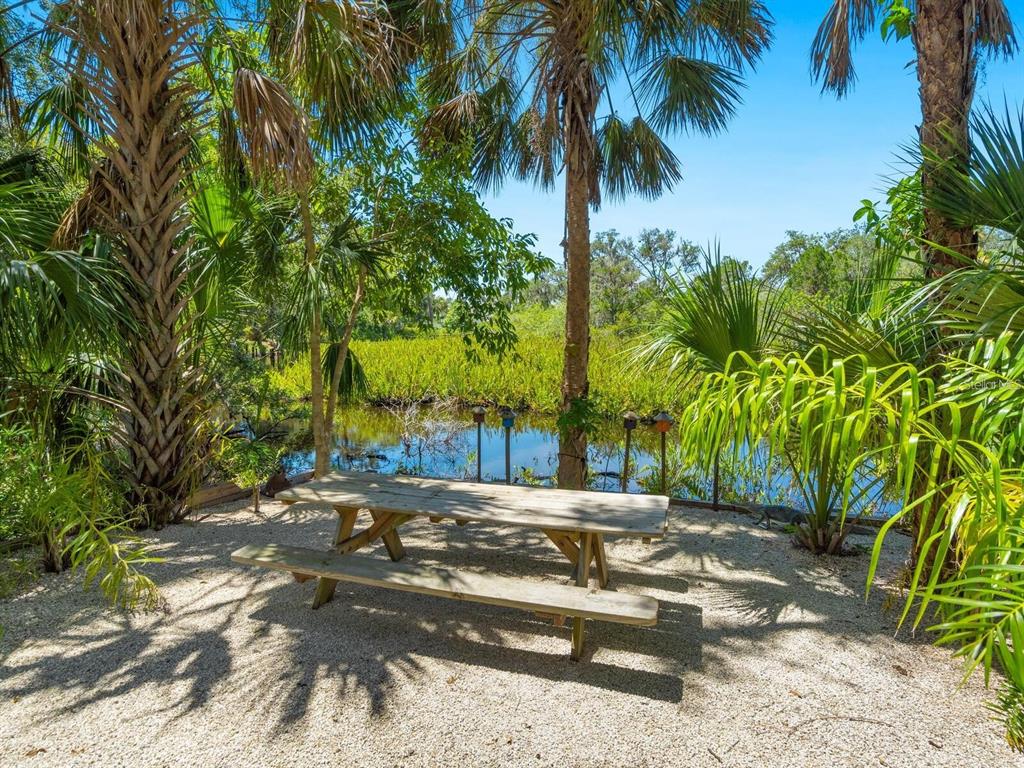 1245 Mill Creek Road Bradenton, FL 34212 - Photo 52 of 56 a view of a yard with palm tree
