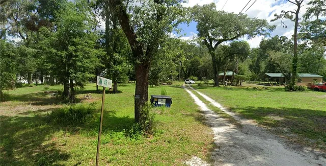 a view of a park with large trees