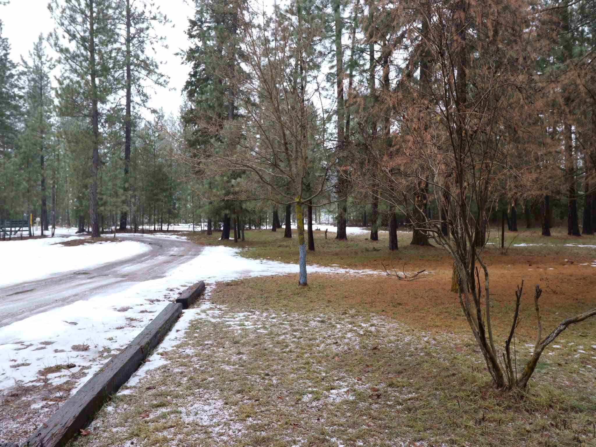 3824 Powers Road Loon Lake, WA 99148 - Photo 3 of 7 Gallery Image 3