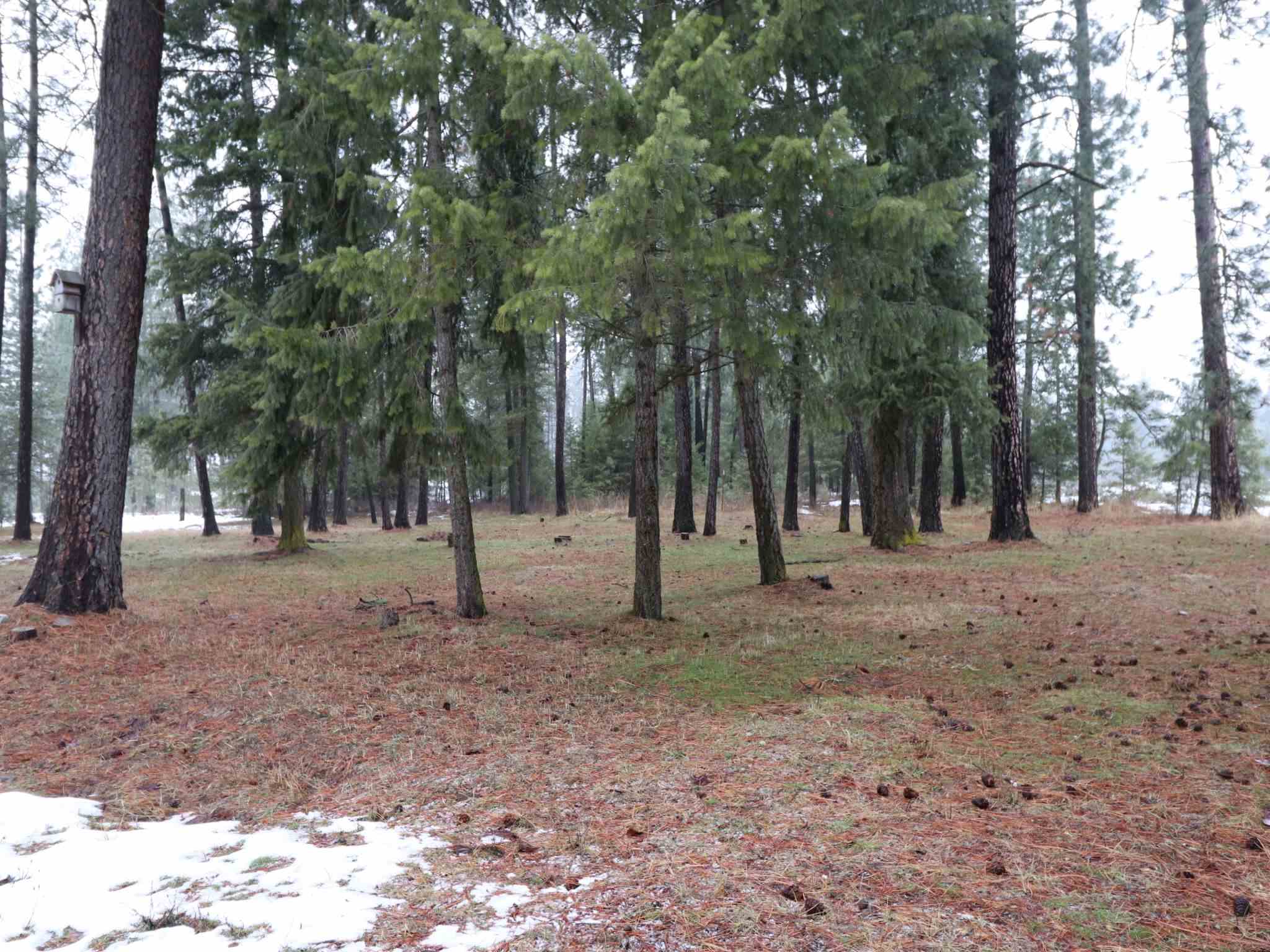 3824 Powers Road Loon Lake, WA 99148 - Photo 4 of 7 Gallery Image 4