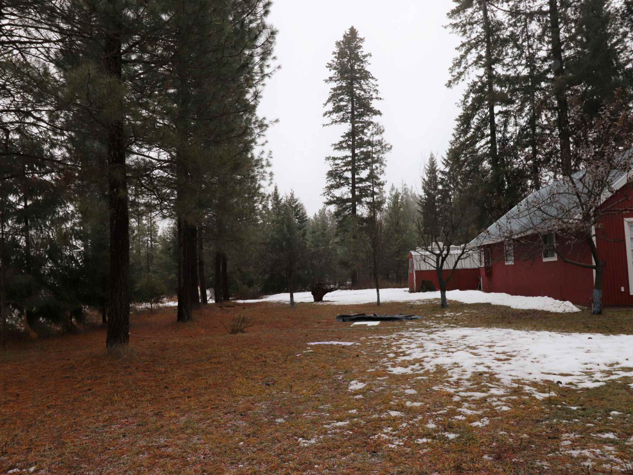 3824 Powers Road Loon Lake, WA 99148 - Photo 6 of 7 Gallery Image 6