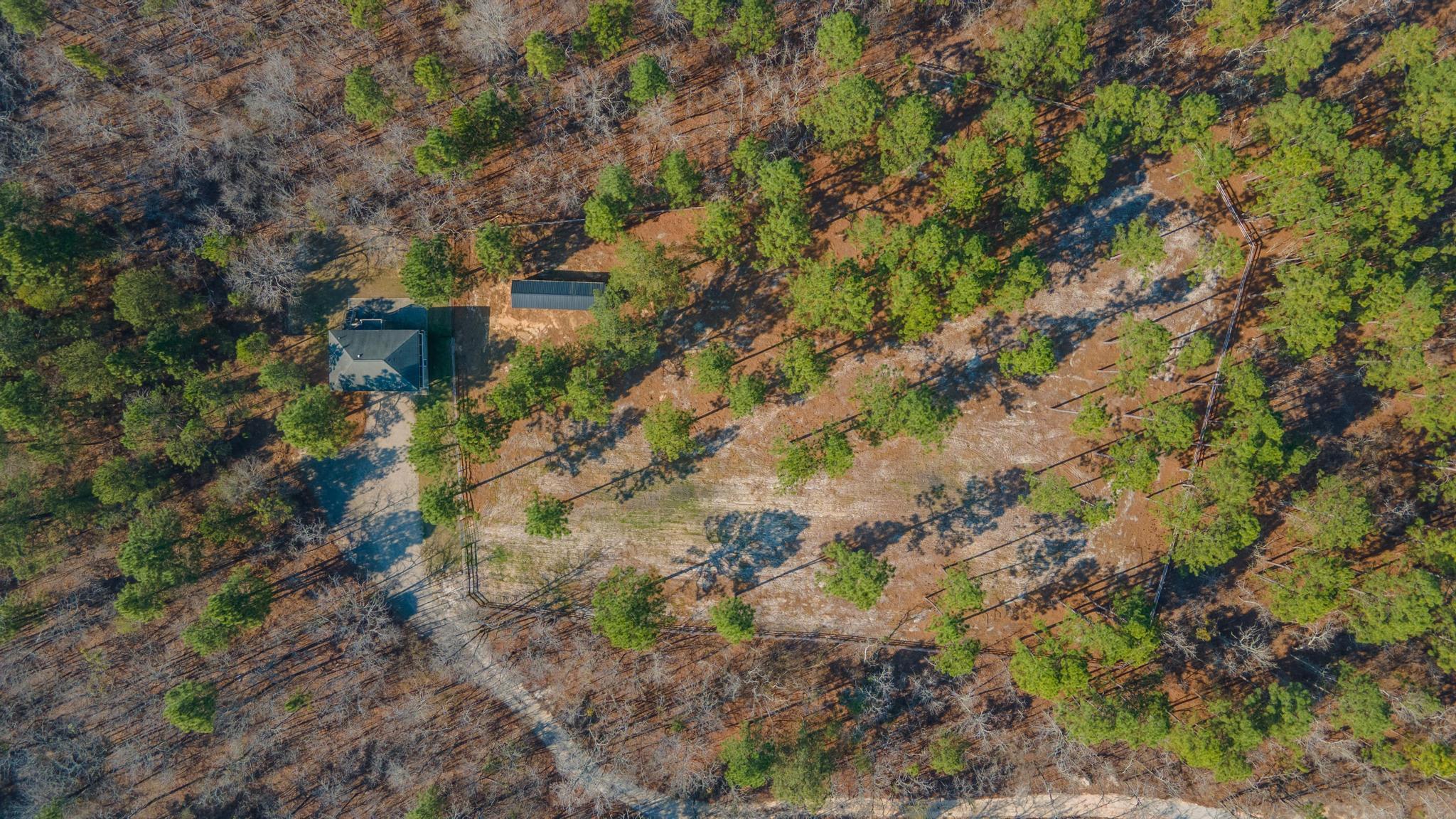 316 Cadle Crossing Road Windsor, SC 29856 - Photo 13 of 30