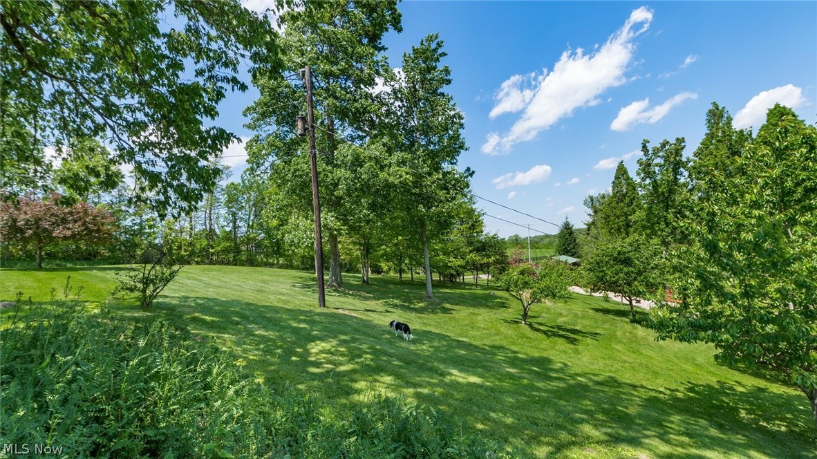 6150 Ballard Road Nashport, OH 43830 - Photo 3 of 50