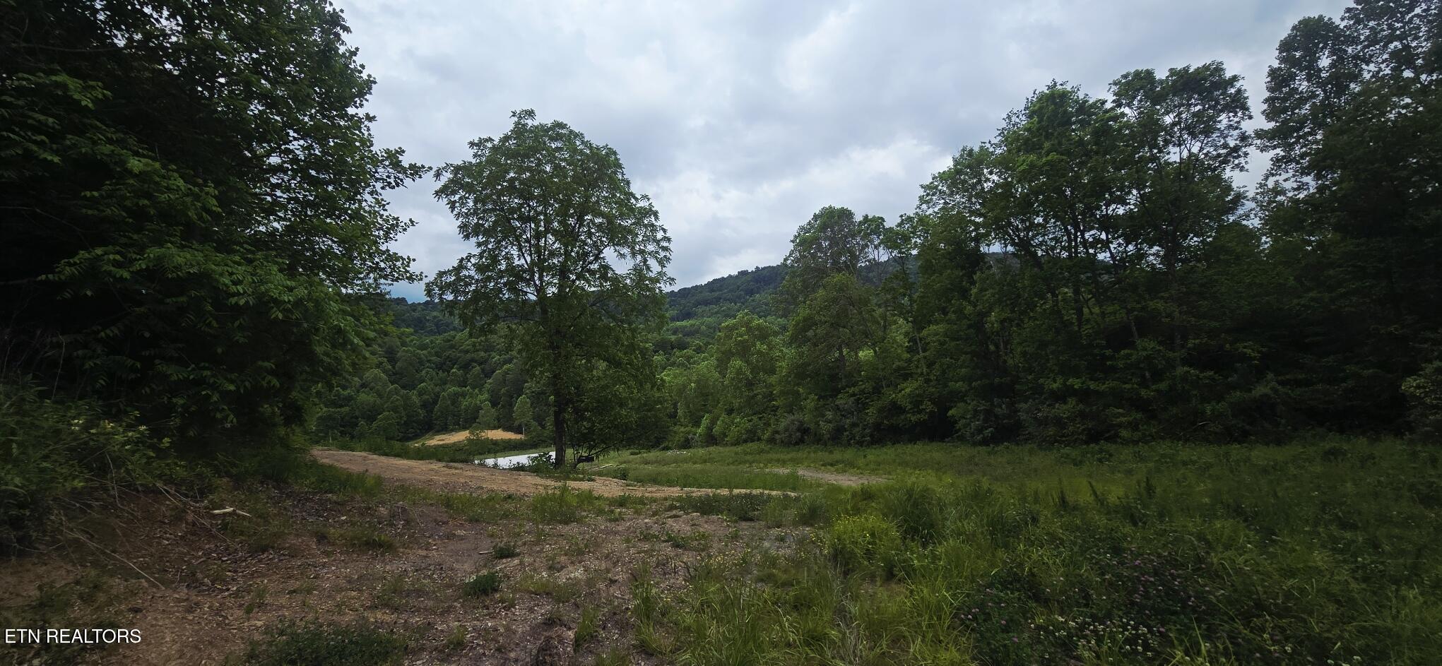 1095 Stanley Creek Road Oneida, TN 37841 - Photo 55 of 57 20260519_114618