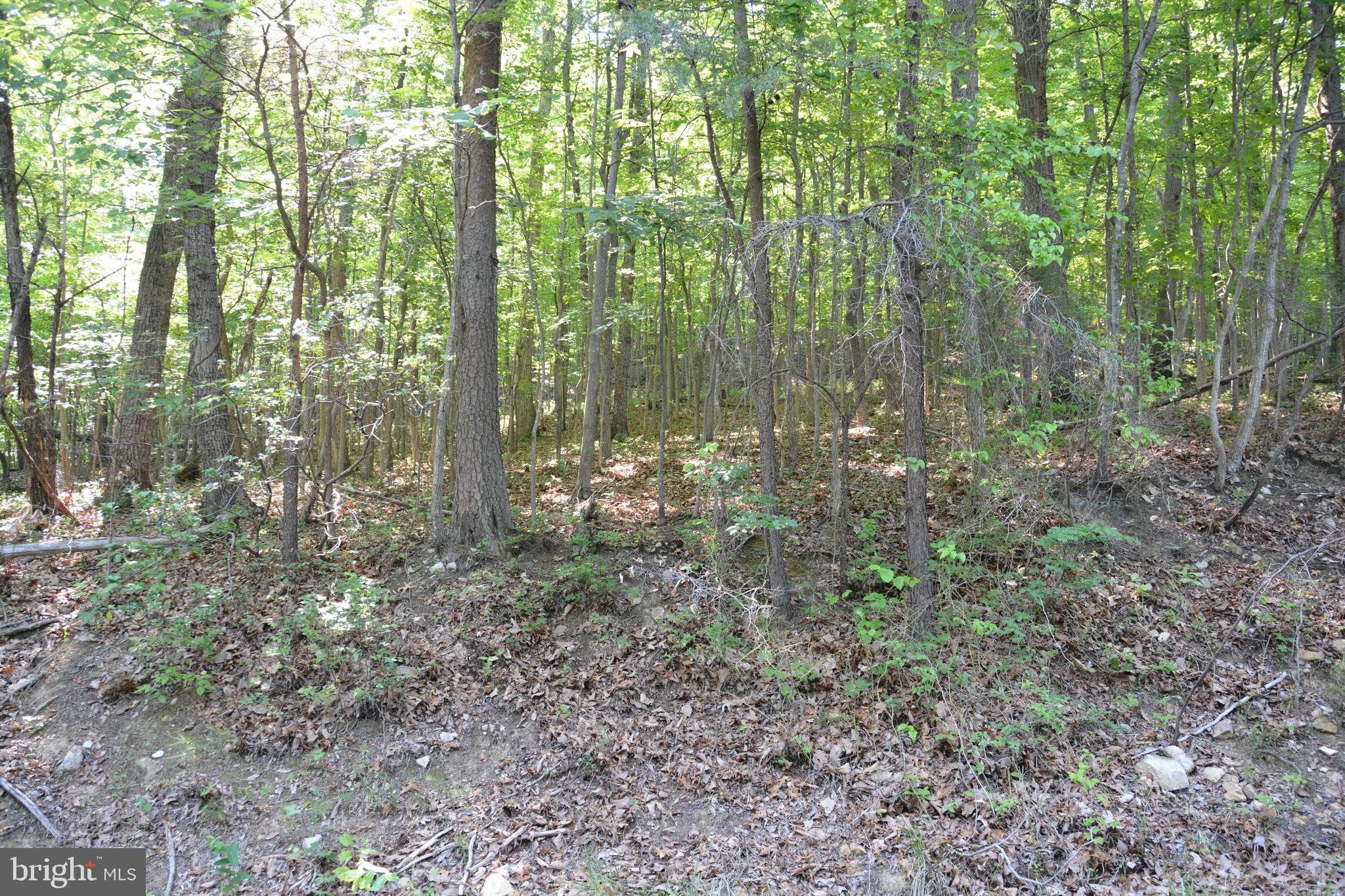 59 60 61 Baldwin Road Front Royal, VA 22630 - Photo 4 of 23 Build on elevated sites