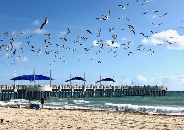 a dining room with furniture and a wooden floor