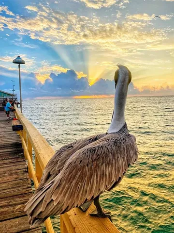 a view of front door with outdoor seating