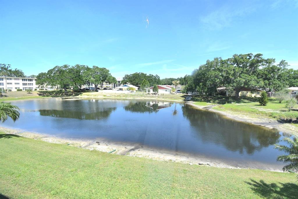 936 Virginia Street, Unit 206 Dunedin, FL 34698 - Photo 11 of 22 a view of a lake with houses in the back