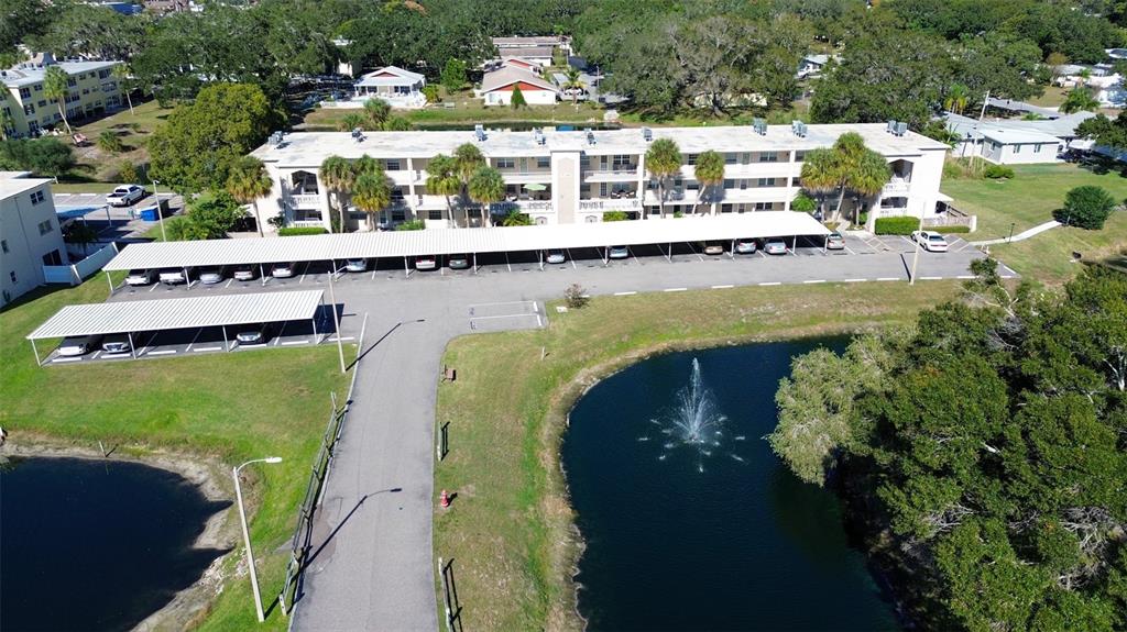 936 Virginia Street, Unit 206 Dunedin, FL 34698 - Photo 22 of 22 a view of a swimming pool with a yard and plants