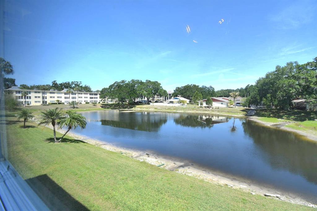 936 Virginia Street, Unit 206 Dunedin, FL 34698 - Photo 10 of 22 a view of a lake with lawn chairs