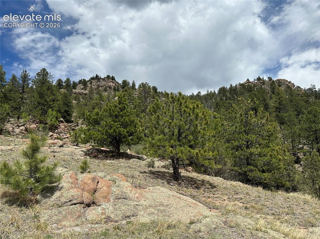 2332 County Road Florissant, CO 80816 - Photo 5 of 20 Gallery Image 5