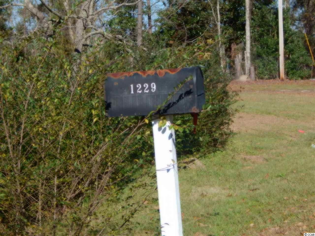 1229 County Rd S-22-790 Hemingway, SC 29554 - Photo 7 of 7
