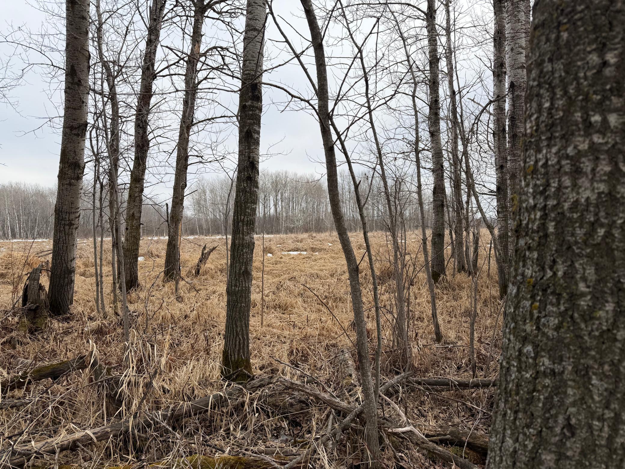 Tbd-b 180th Street Milaca, MN 56353 - Photo 11 of 50