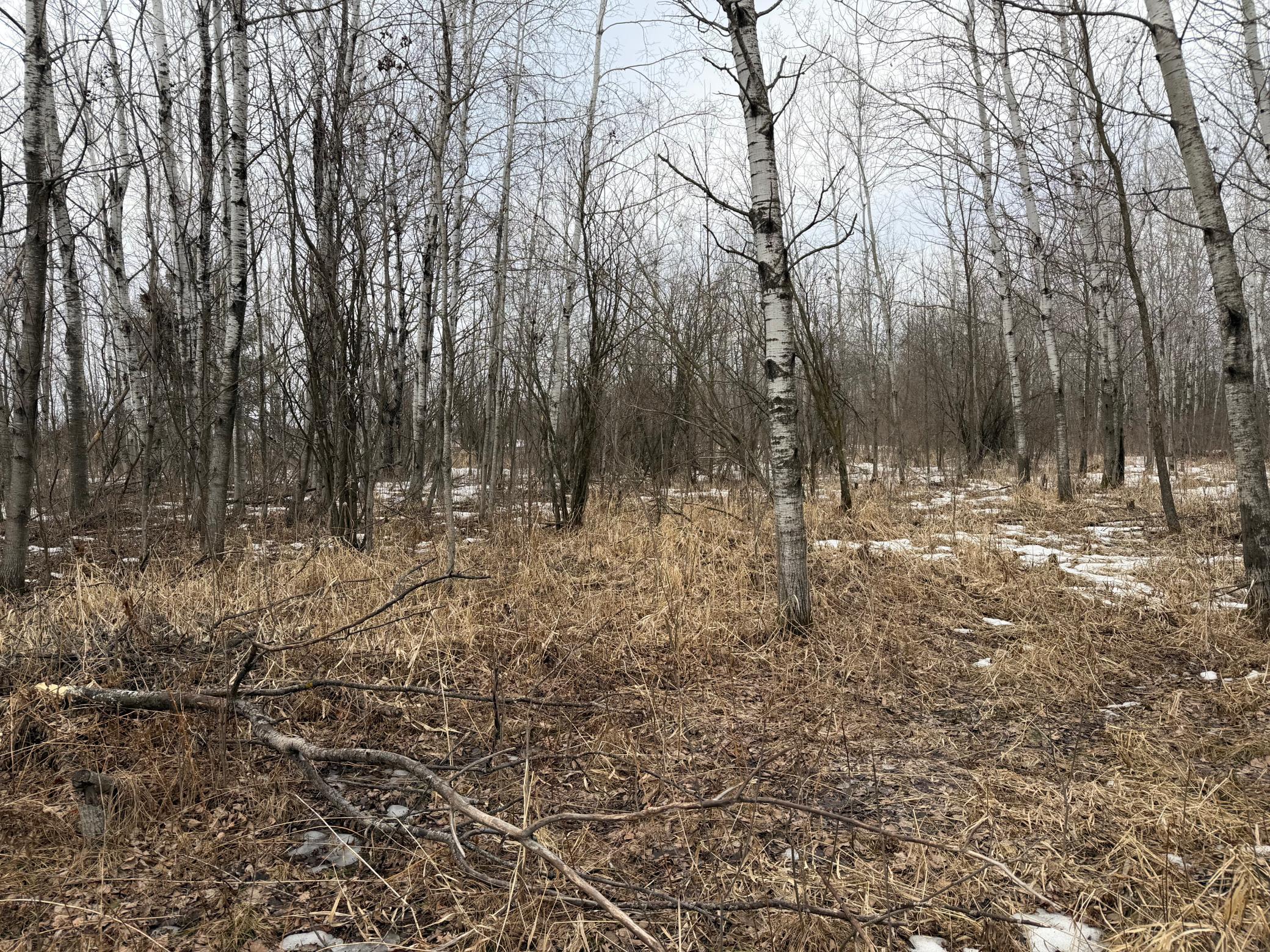 Tbd-b 180th Street Milaca, MN 56353 - Photo 12 of 50