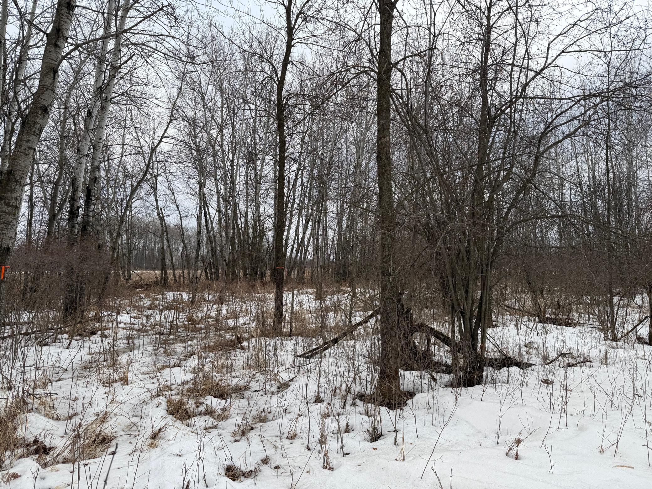 Tbd-b 180th Street Milaca, MN 56353 - Photo 24 of 50