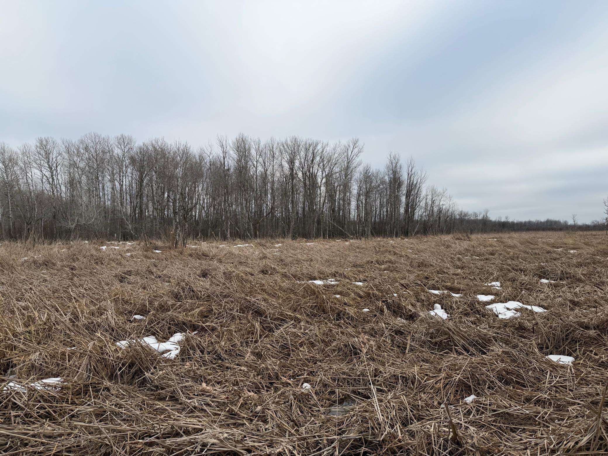 Tbd-b 180th Street Milaca, MN 56353 - Photo 29 of 50