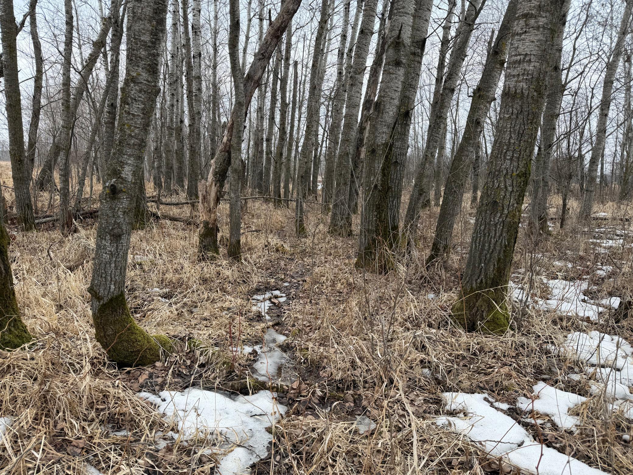 Tbd-b 180th Street Milaca, MN 56353 - Photo 3 of 50