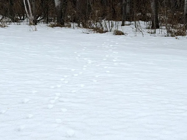 $225,000 | Tbd-b 180th Street, Milaca, MN 56353