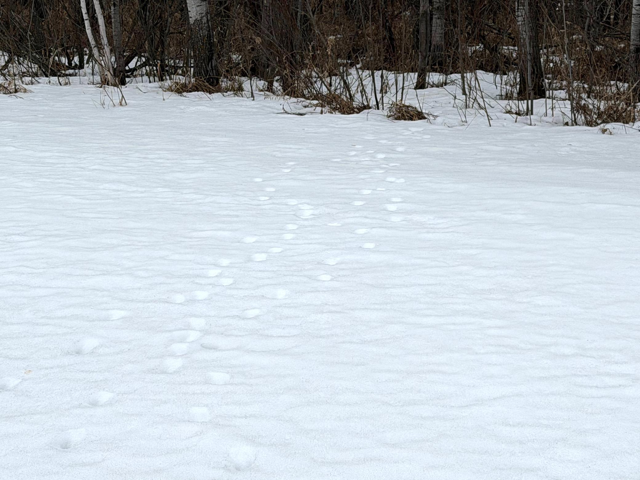 Tbd-b 180th Street Milaca, MN 56353 - Photo 4 of 50