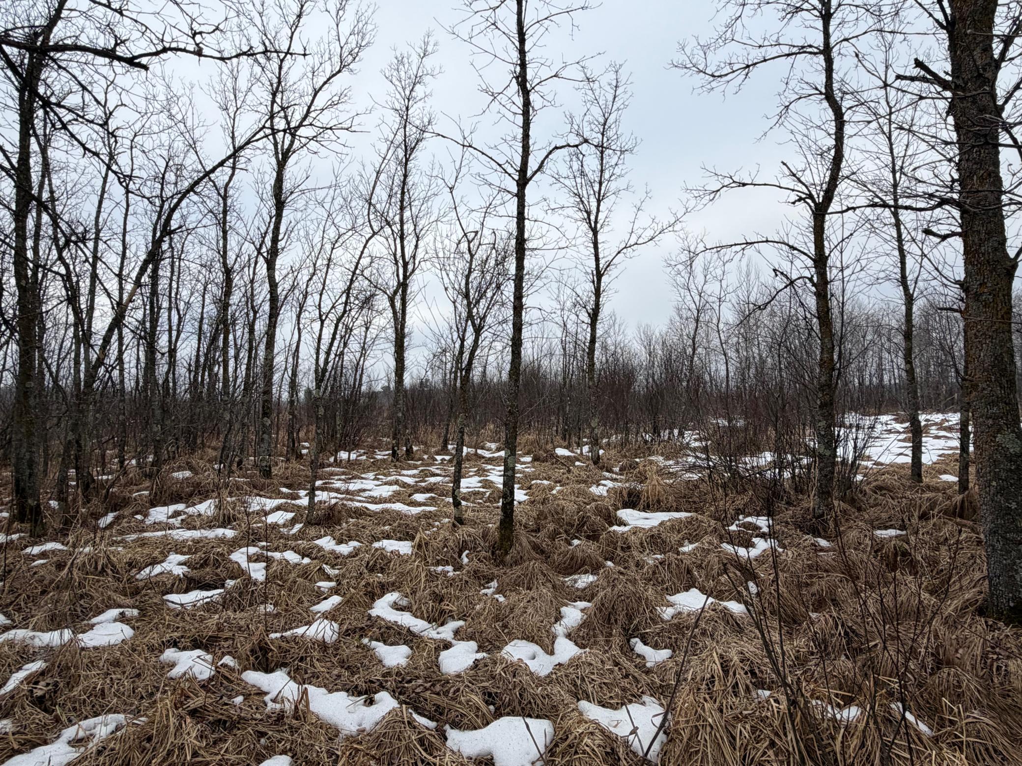 Tbd-b 180th Street Milaca, MN 56353 - Photo 42 of 50