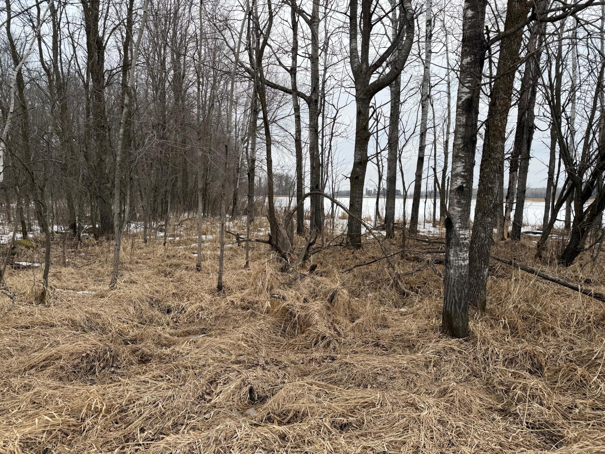 Tbd-b 180th Street Milaca, MN 56353 - Photo 44 of 50