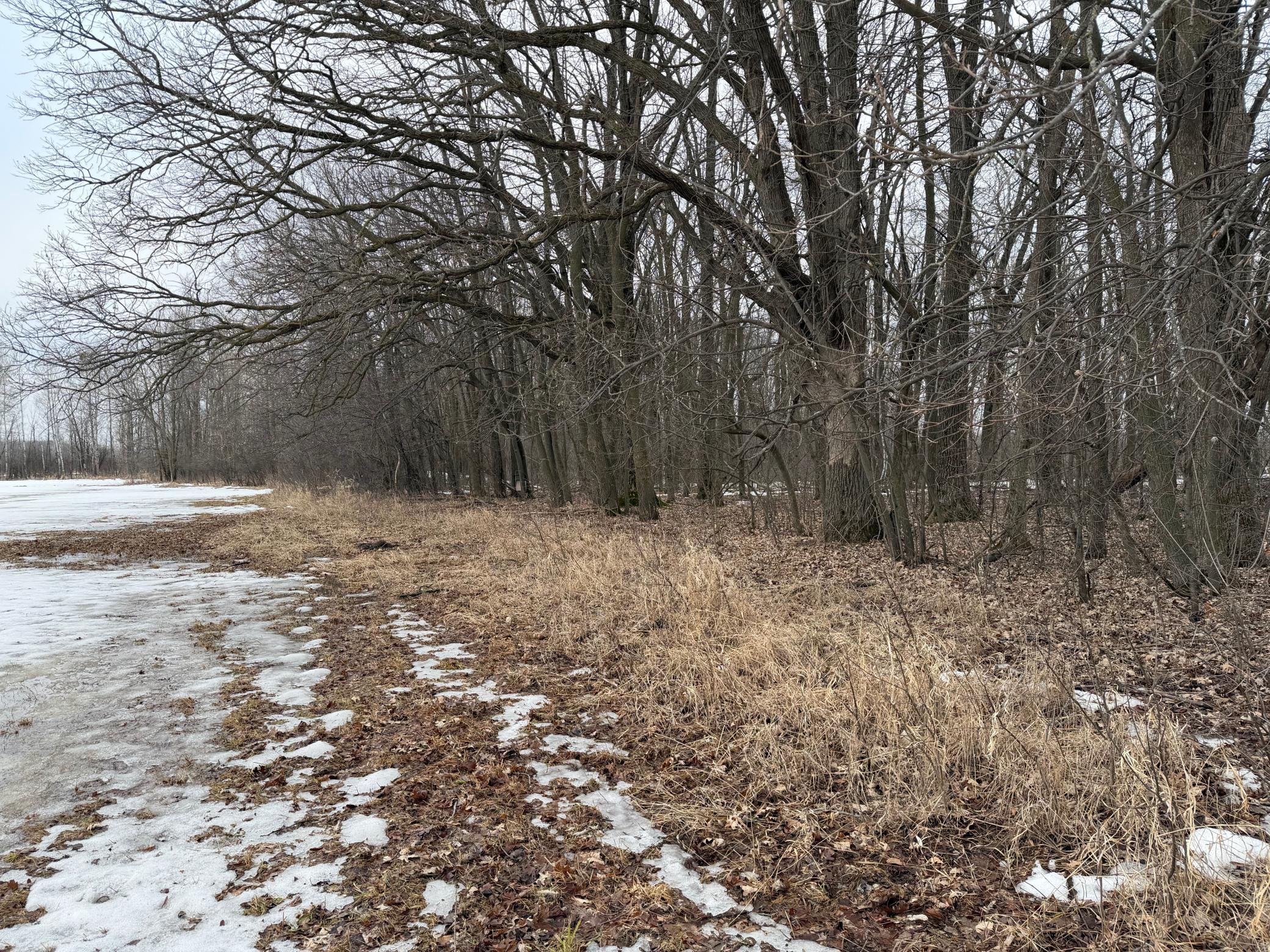 Tbd-b 180th Street Milaca, MN 56353 - Photo 45 of 50