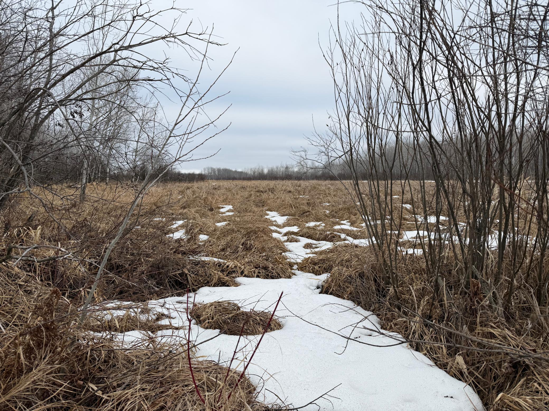 Tbd-b 180th Street Milaca, MN 56353 - Photo 7 of 50