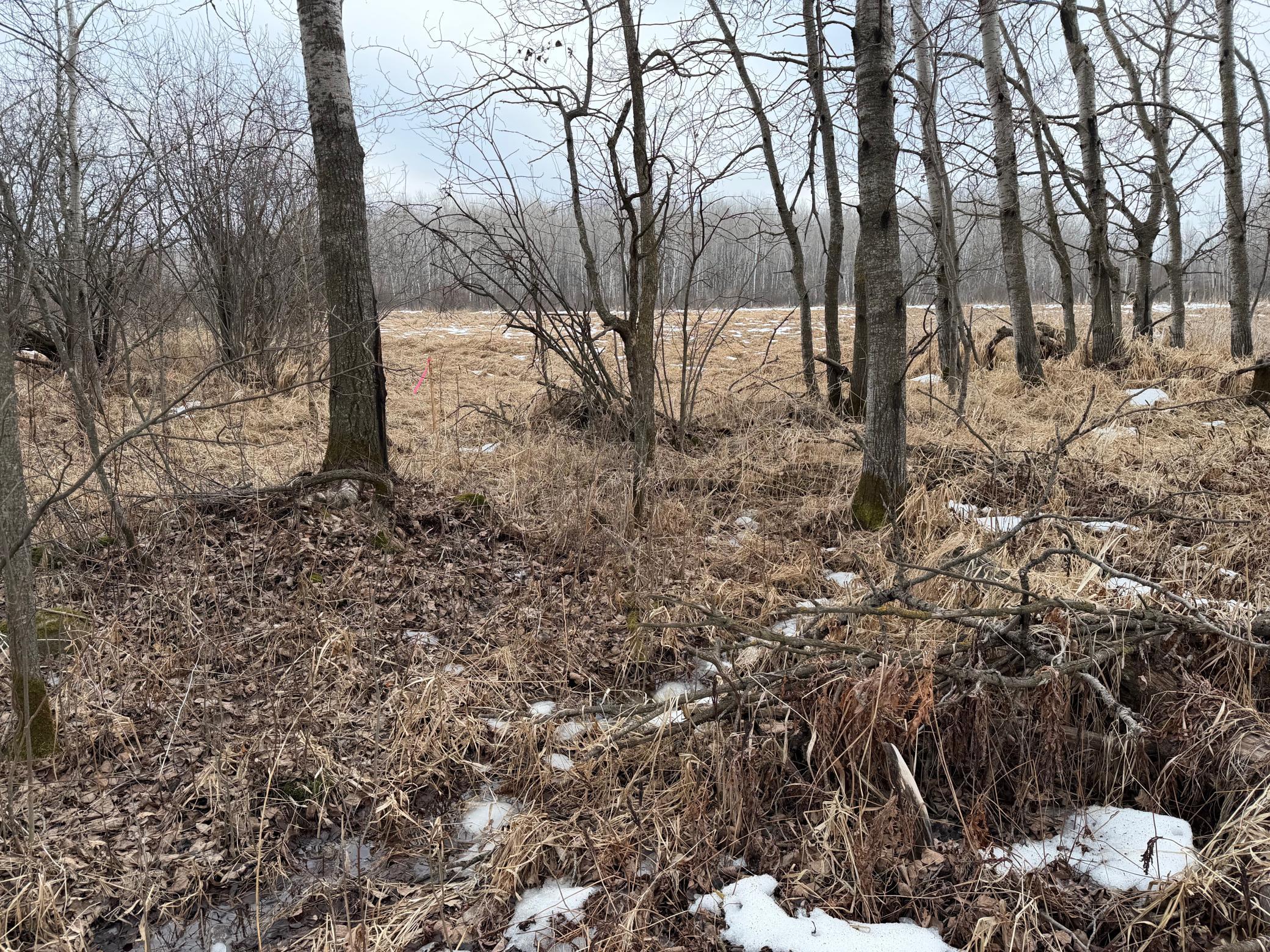 Tbd-b 180th Street Milaca, MN 56353 - Photo 10 of 50