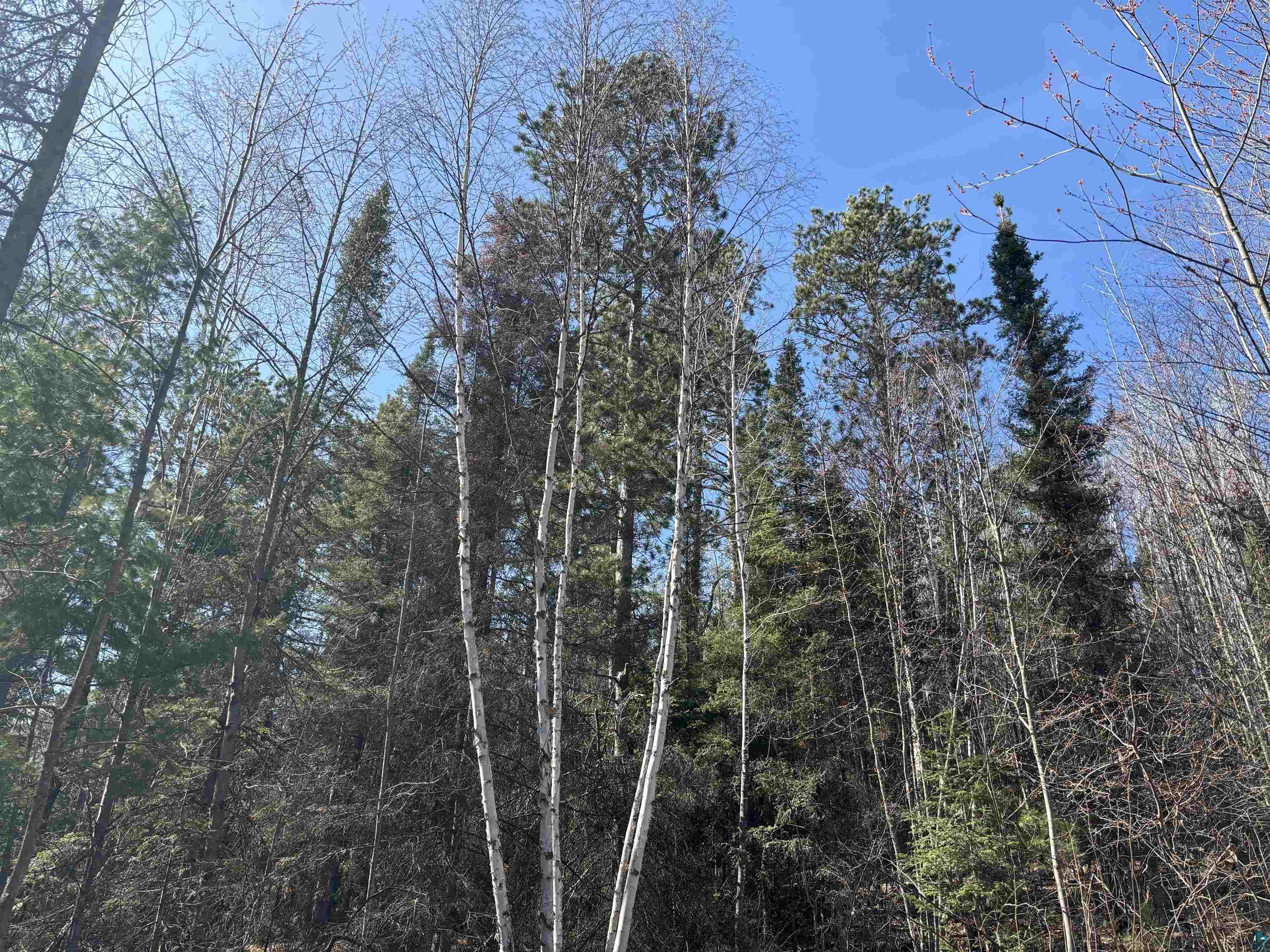 Xxx Grant McMahan Boulevard Ely, MN 55731 - Photo 11 of 12