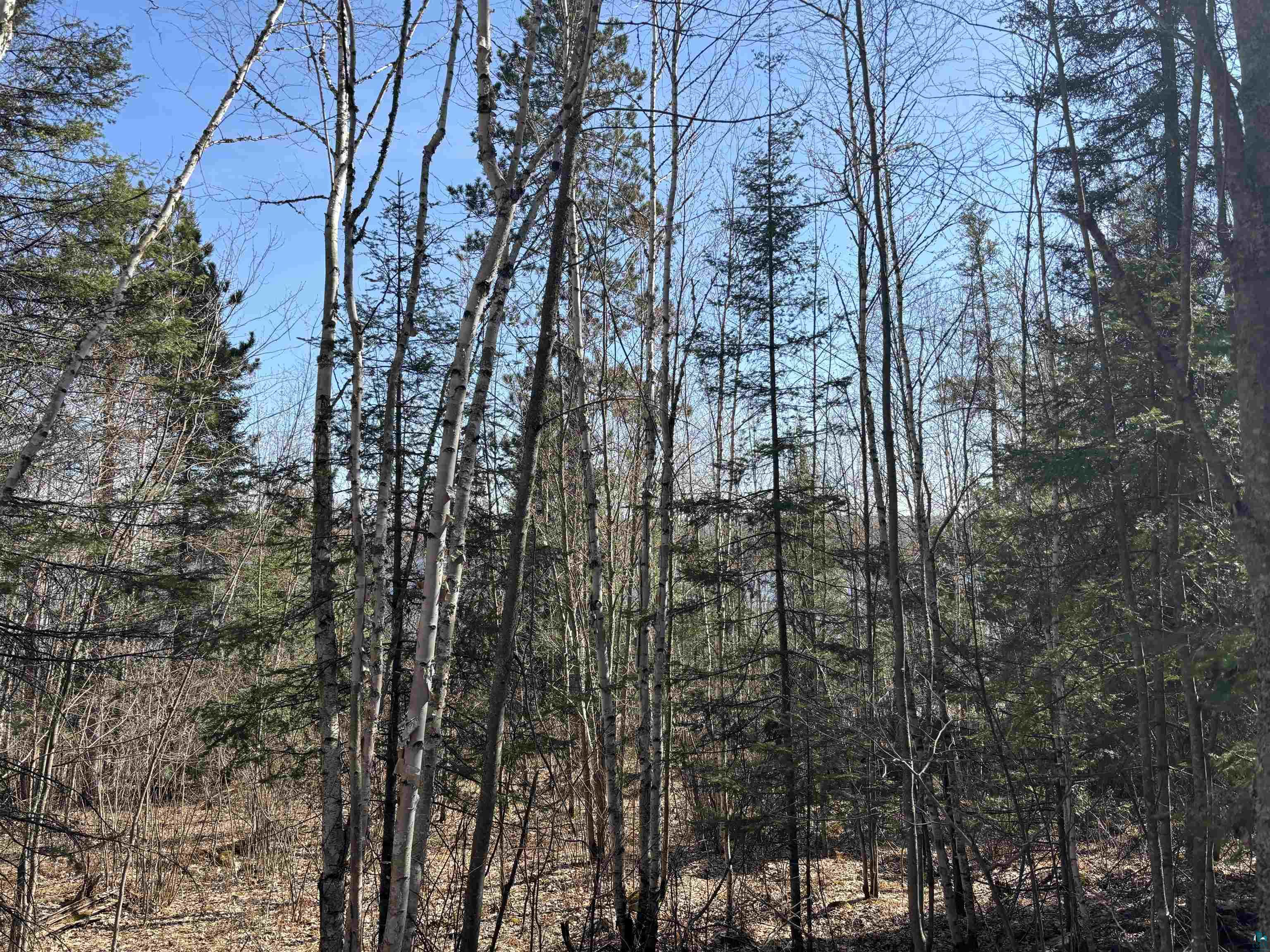 Xxx Grant McMahan Boulevard Ely, MN 55731 - Photo 12 of 12