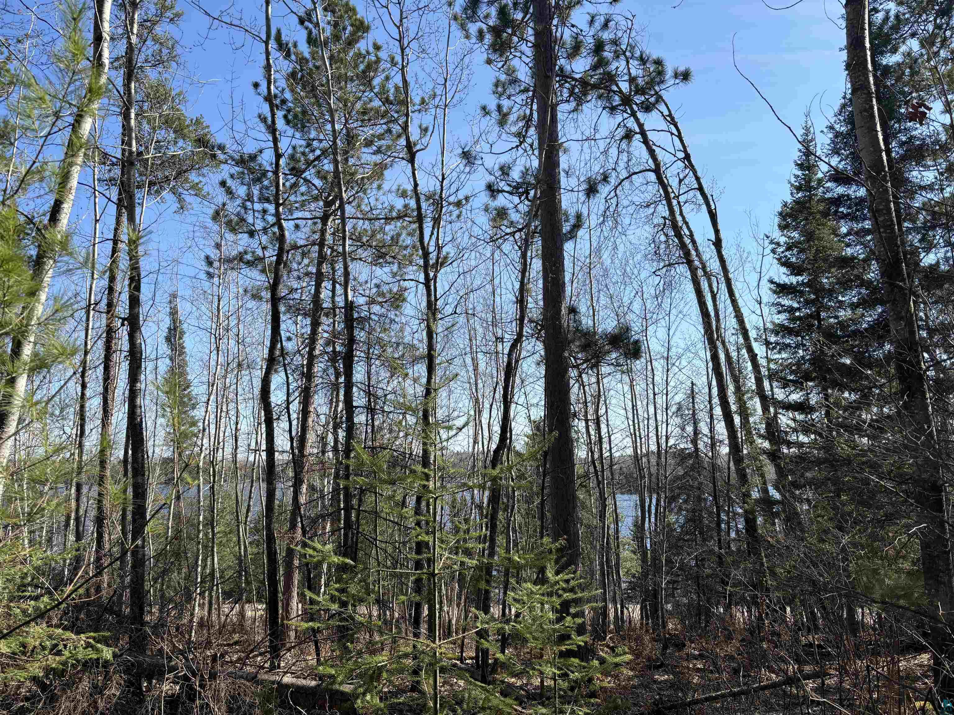 Xxx Grant McMahan Boulevard Ely, MN 55731 - Photo 5 of 12