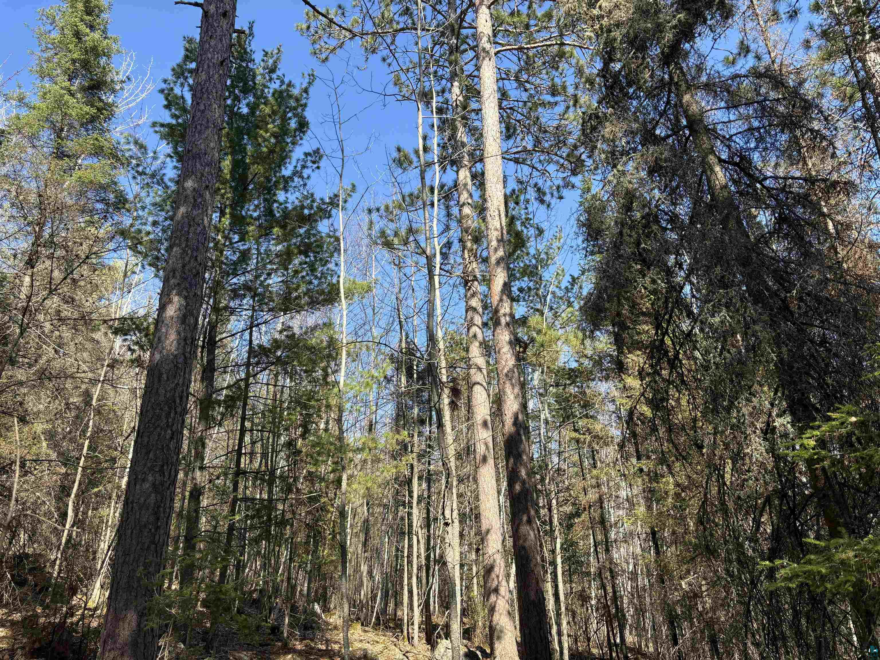 Xxx Grant McMahan Boulevard Ely, MN 55731 - Photo 6 of 12