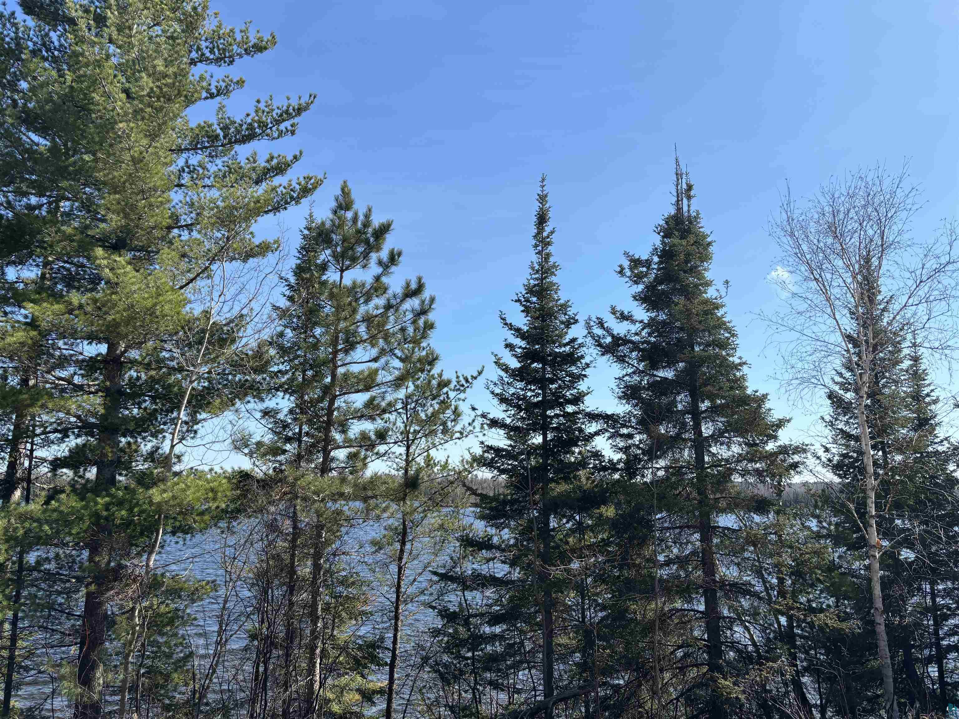 Xxx Grant McMahan Boulevard Ely, MN 55731 - Photo 8 of 12