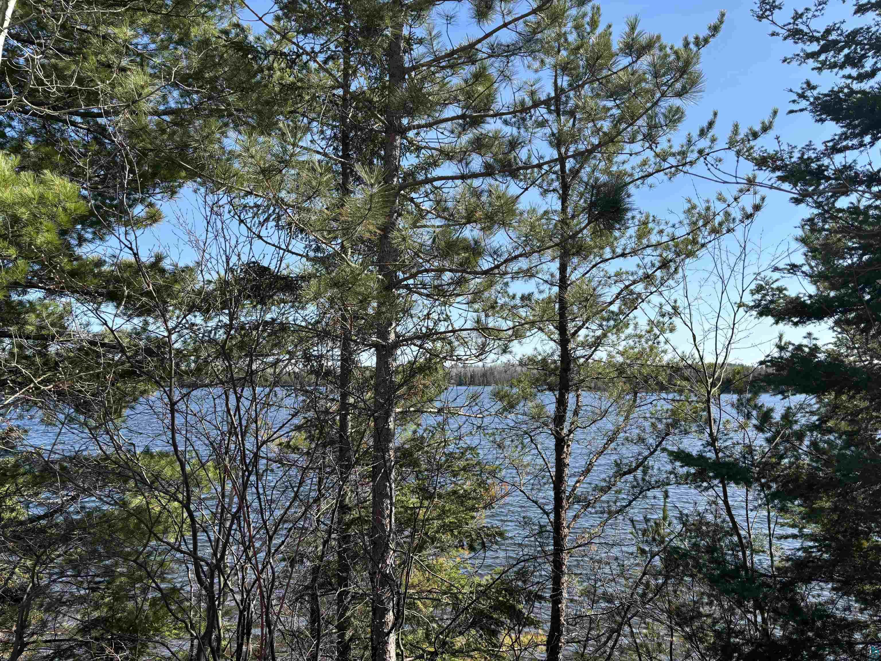 Xxx Grant McMahan Boulevard Ely, MN 55731 - Photo 9 of 12