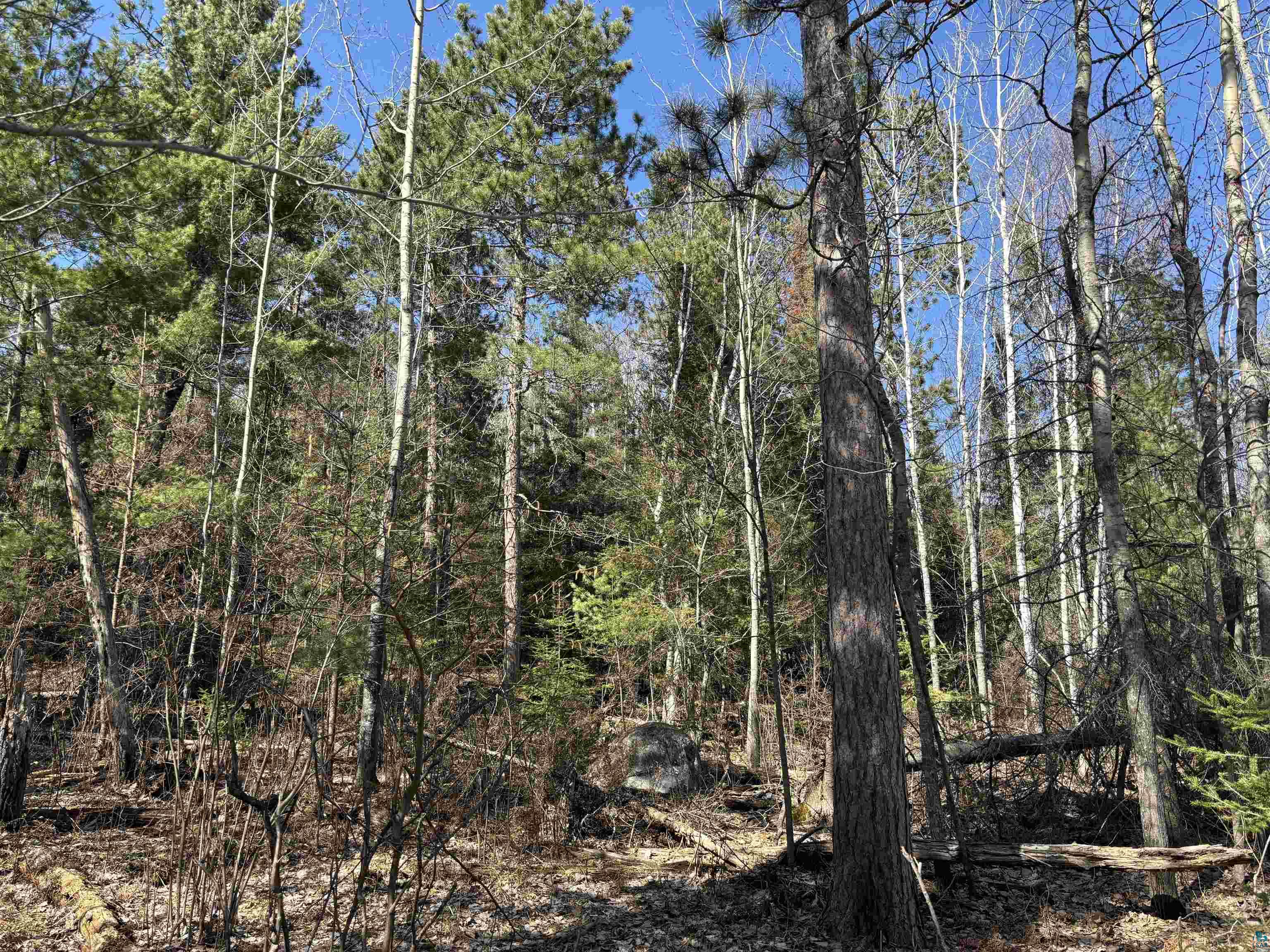 Xxx Grant McMahan Boulevard Ely, MN 55731 - Photo 10 of 12