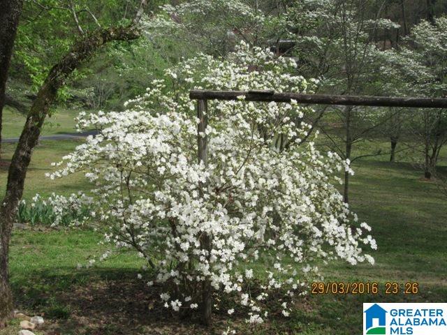 1605 Renfroe Road Talladega, AL 35160 - Photo 34 of 40 Gallery Image 34