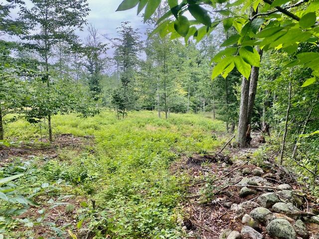 3.86-ac Mudgett Road Parsonsfield, ME 04047 - Photo 5 of 10 IMG_8512