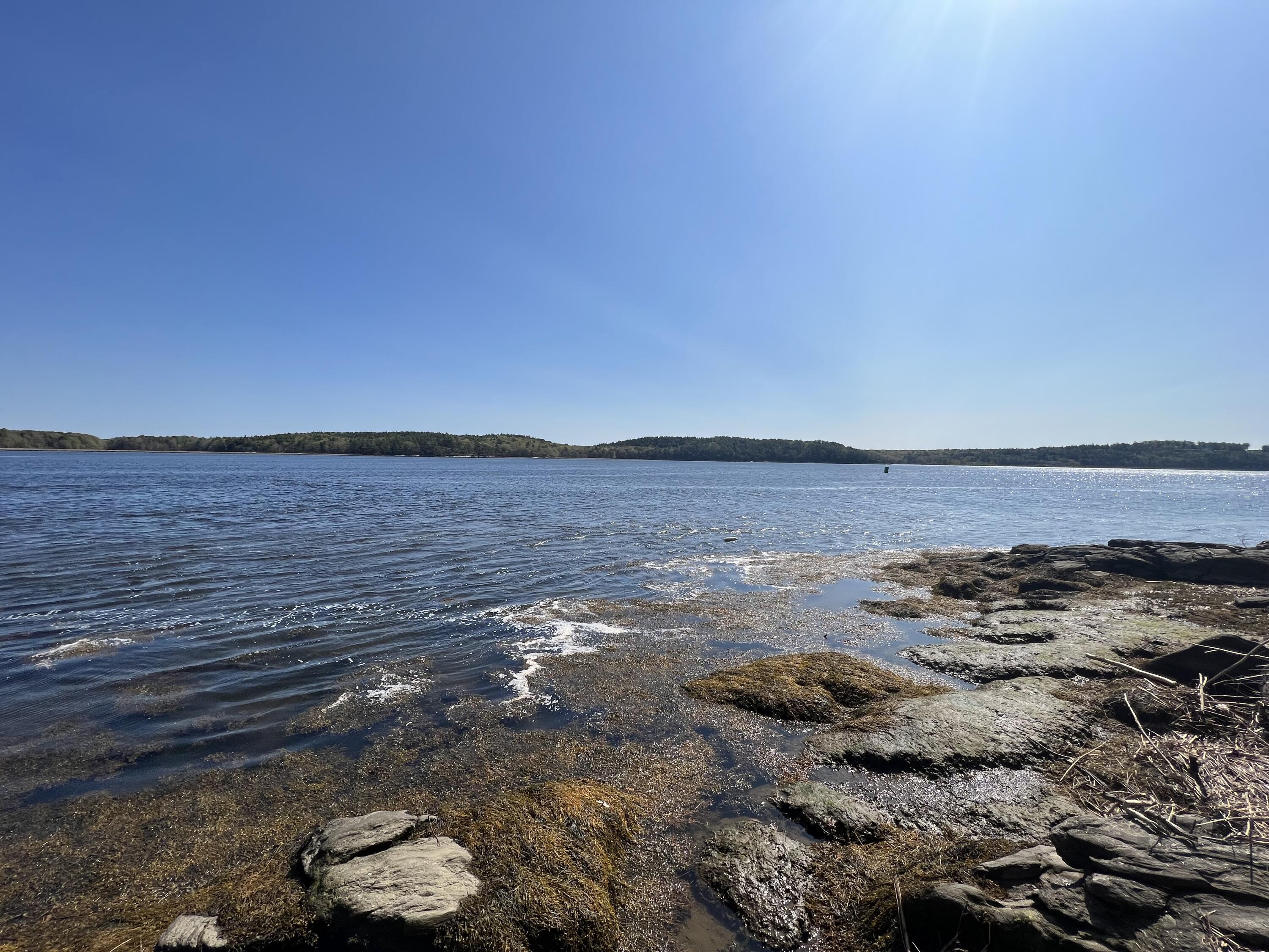 8 Kennebec Shores Road Phippsburg, ME 04562 - Photo 8 of 13 IMG-9222