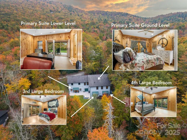 a view of a backyard with plants and large tree