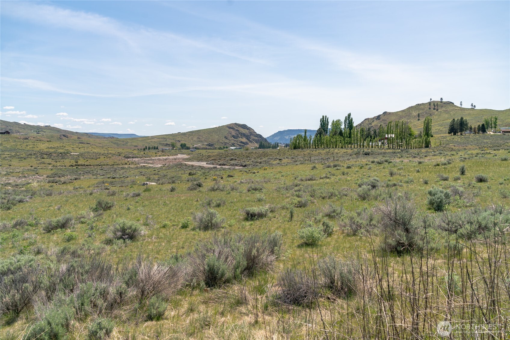 1 Gunsmoke Road Brewster, WA 98812 - Photo 9 of 29 a view of a lush green field with mountains in the background