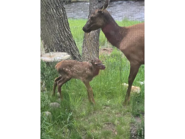 $732,000 | 300 Far View Drive, Unit 15, Estes Park, CO 80517