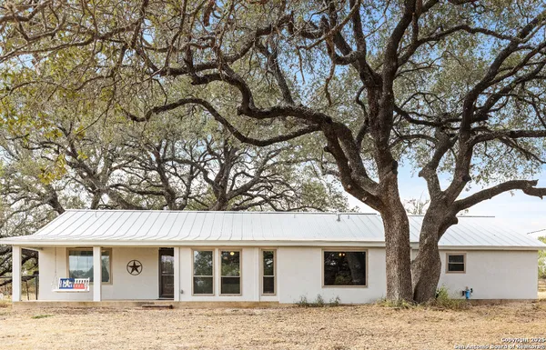 front view of a house with a large tree