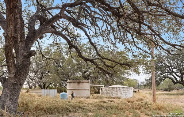 a house with trees in front of it