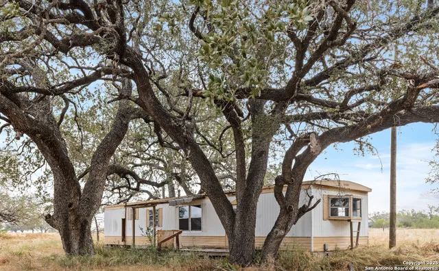 a tree in front of a white house