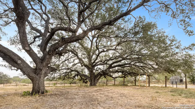 a view of outdoor space with trees