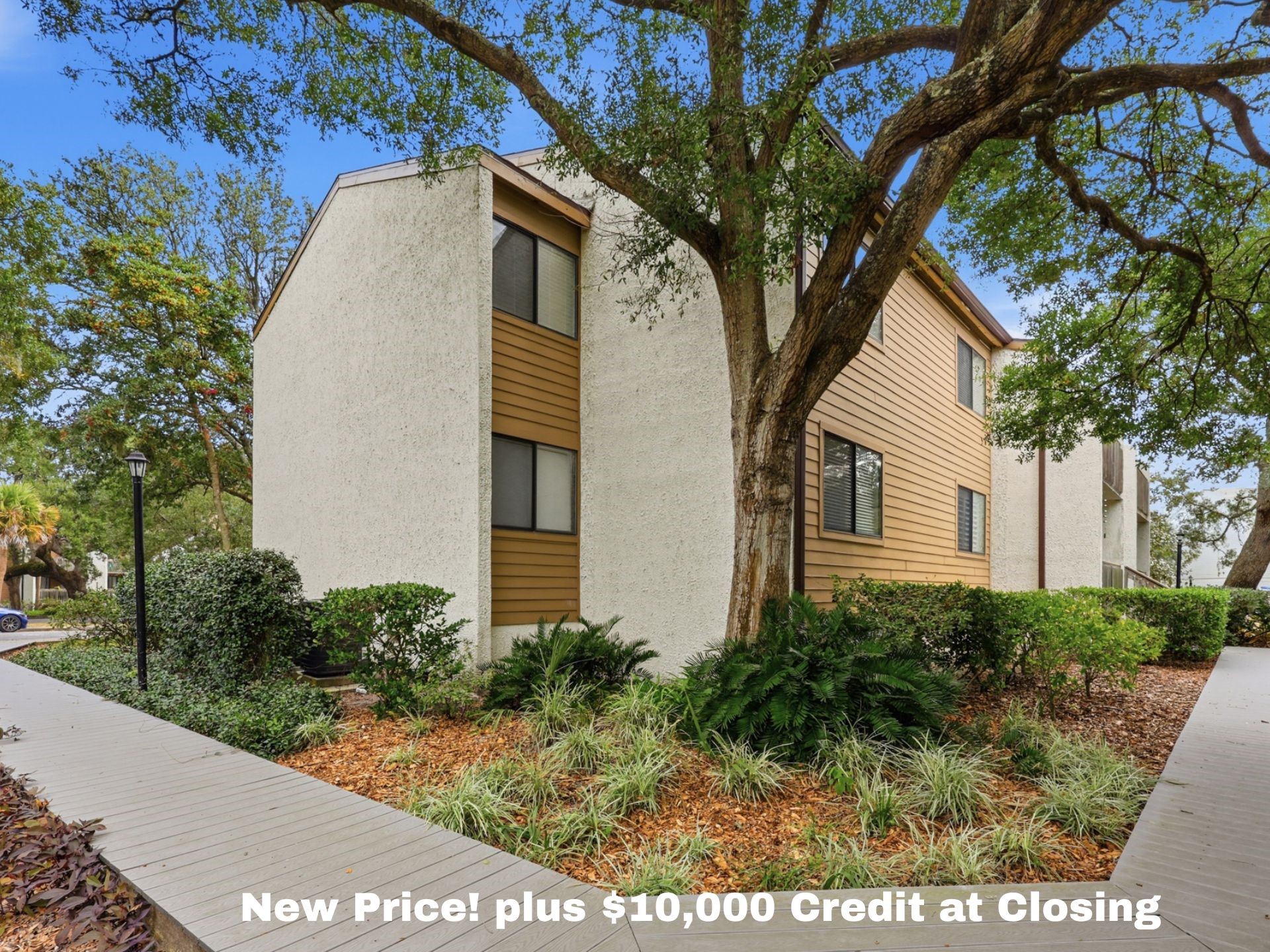 a view of a white house with a yard and a large tree