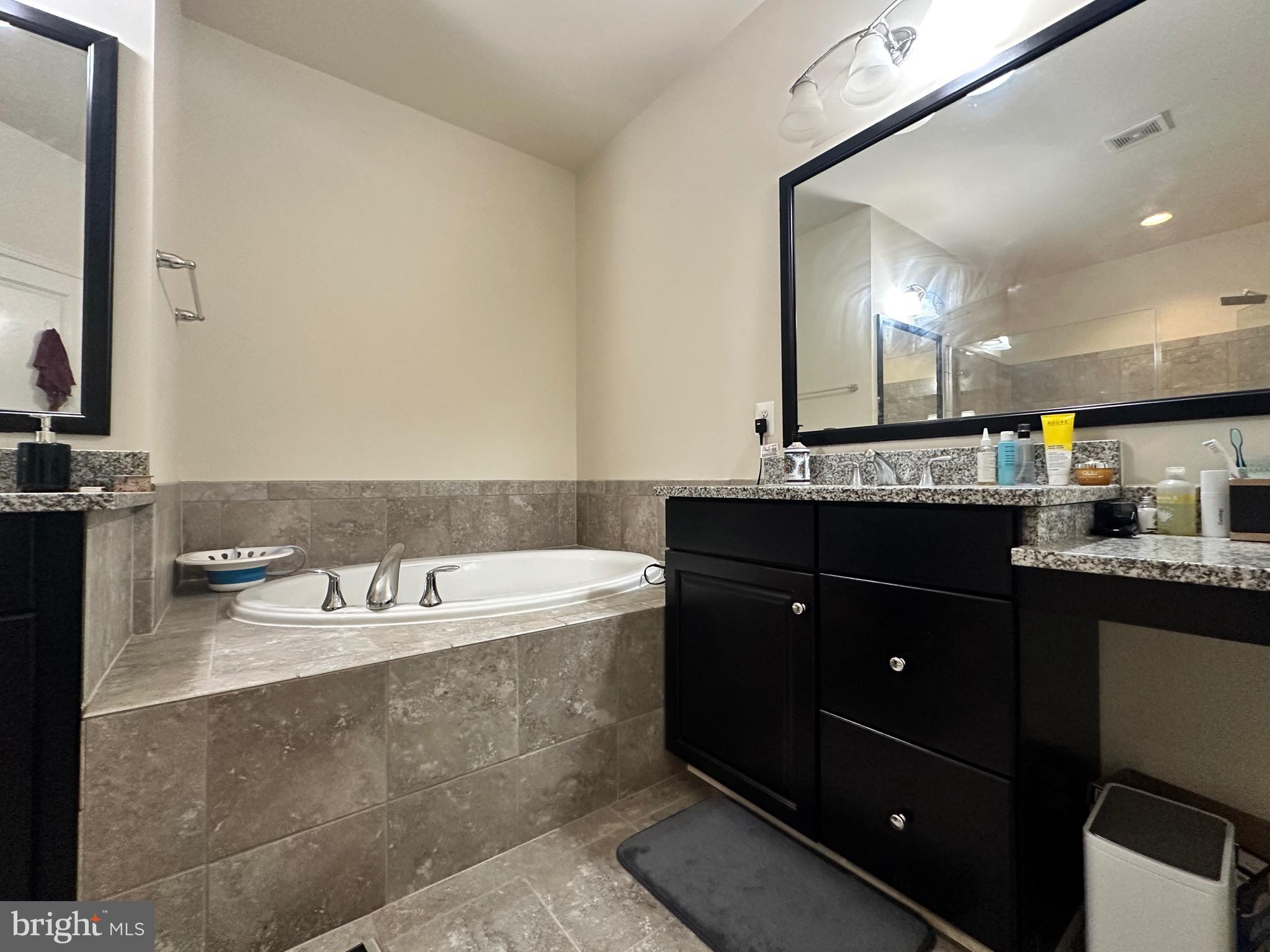 22611 Windsor Locks Square Ashburn, VA 20148 - Photo 38 of 53 a bathroom with a bathtub double vanity sink and a mirror