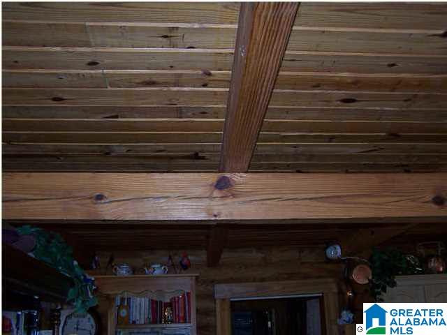 4820 Spunky Hollow Road Remlap, AL 35133 - Photo 13 of 24